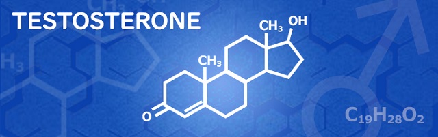 テストステロン