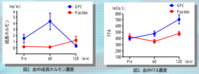 成長ホルモンの分泌