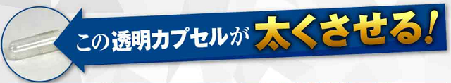 透明カプセル