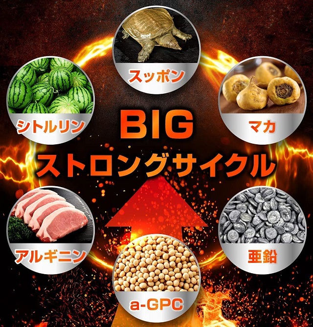 BIGストロングサイクル